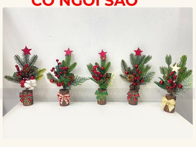 Chậu thông mini để bàn cành đỏ mọng cao 28cm đế gỗ [Nhiều kiểu] CHAUCAYGIA-19